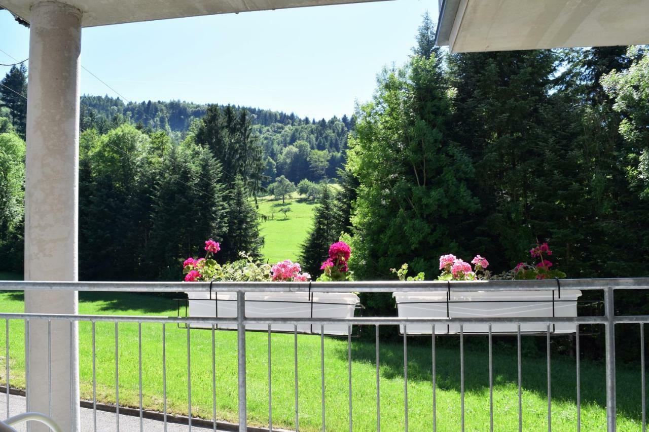 فالدكريش Ferienwohnung Im Dettenbachtal المظهر الخارجي الصورة