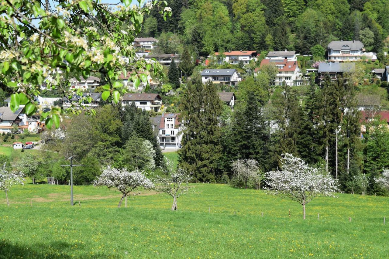 فالدكريش Ferienwohnung Im Dettenbachtal المظهر الخارجي الصورة
