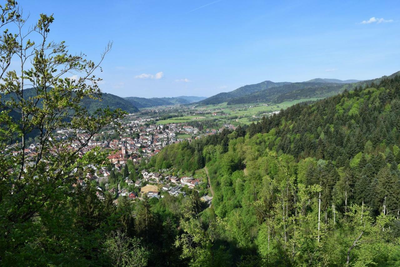 فالدكريش Ferienwohnung Im Dettenbachtal المظهر الخارجي الصورة