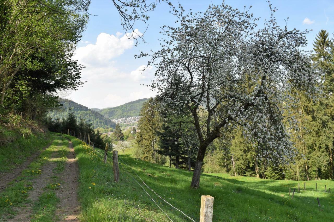 فالدكريش Ferienwohnung Im Dettenbachtal المظهر الخارجي الصورة