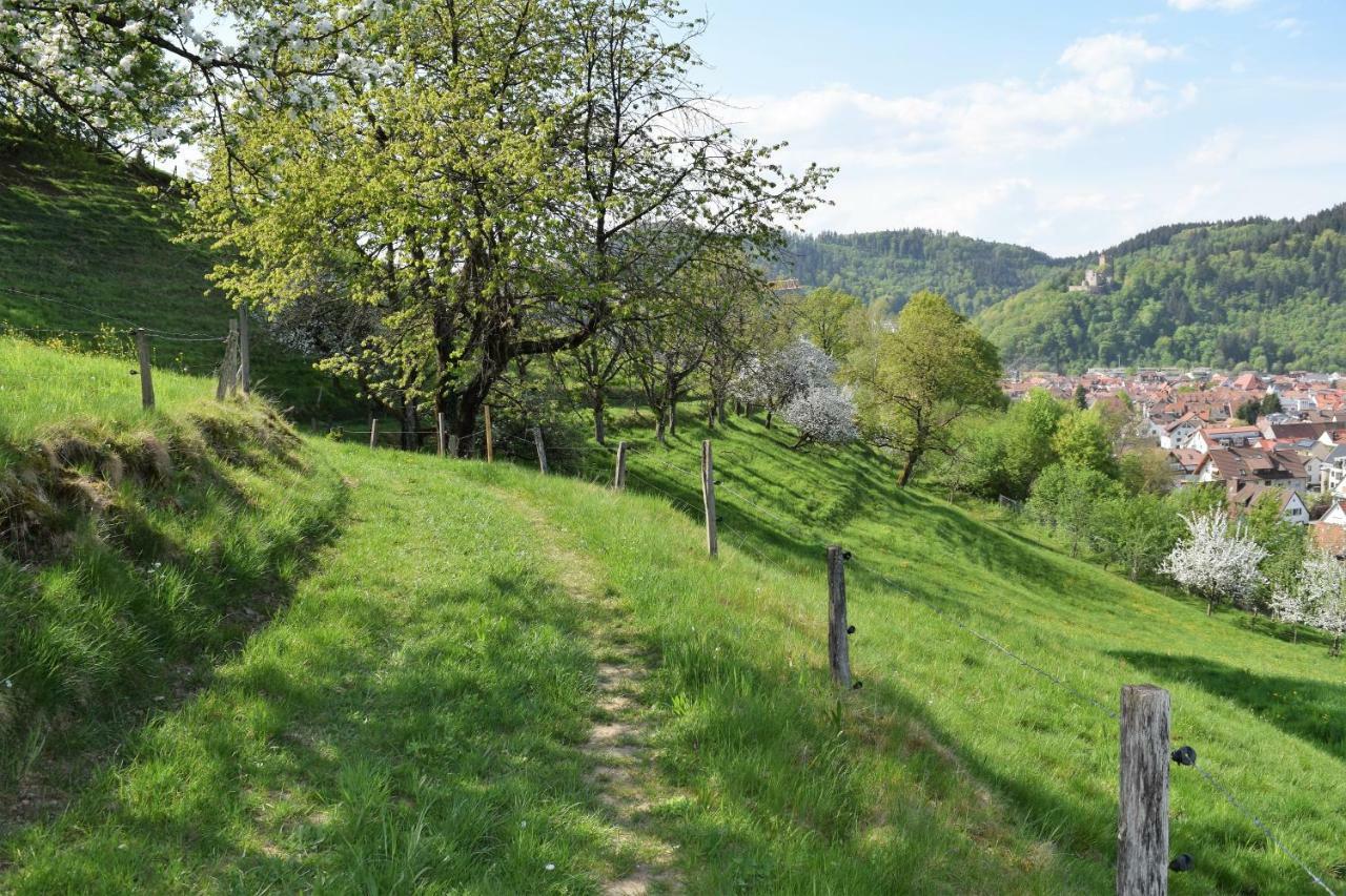 فالدكريش Ferienwohnung Im Dettenbachtal المظهر الخارجي الصورة