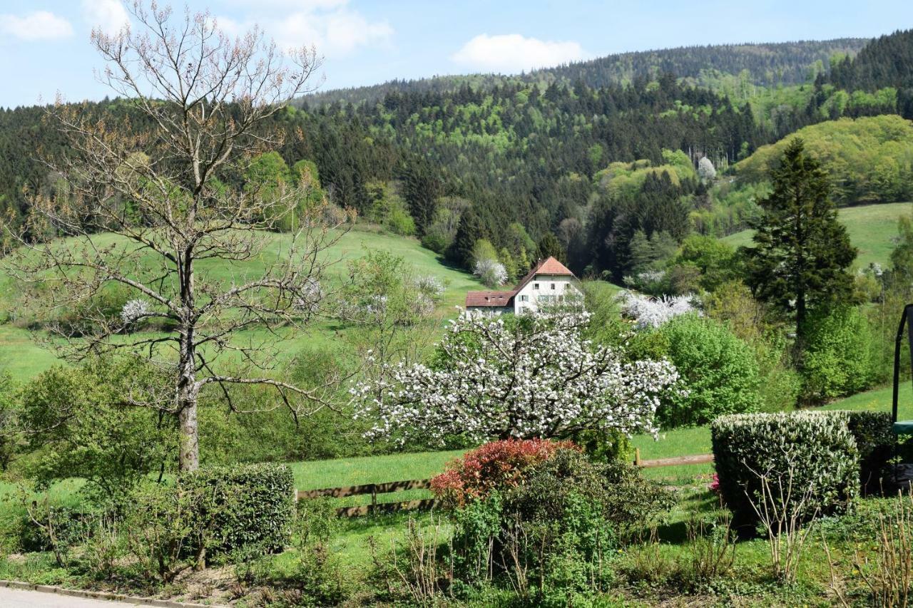 فالدكريش Ferienwohnung Im Dettenbachtal المظهر الخارجي الصورة